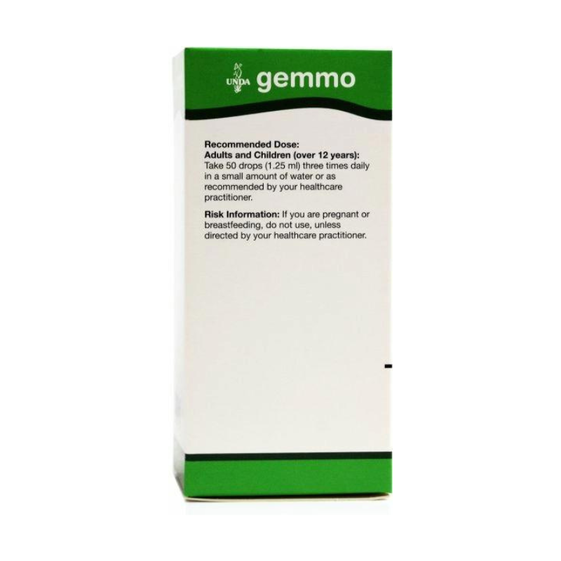 Acer Campestre 125ml